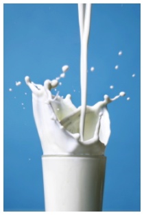 Il latte bio (biologico)
