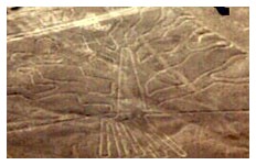 Disegni di Nazca - Foto 01
