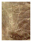 Disegni di Nazca - Foto 02