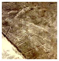 Disegni di Nazca - Foto 03