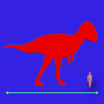 Immagini dinosauri: dimensioni Allosaurus