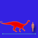 Immagini dinosauri: dimensioni Lufengosaurus