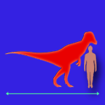 Immagini dinosauri: dimensioni Pachycephalosaurus