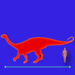 Immagini dinosauri: dimensioni Riojasaurus