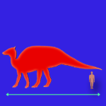 Immagini dinosauri: dimensioni Saurolophus