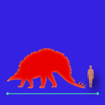Immagini dinosauri: dimensioni Wuerhosaurus