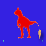 Immagini dinosauri: dimensioni Cryolophosaurus