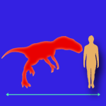 Immagini dinosauri: dimensioni Herrerasaurus