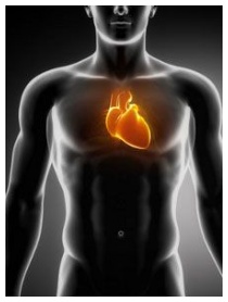 Rischio cardiovascolare e analisi del sangue