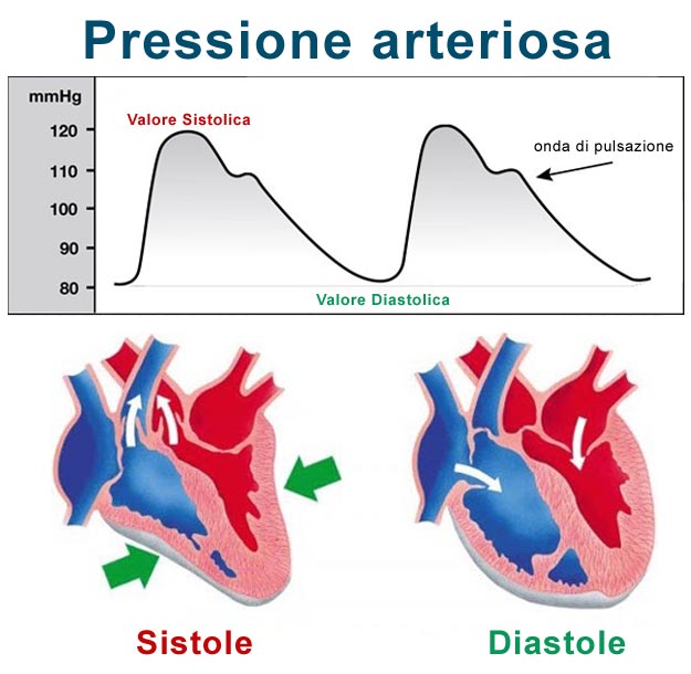 Pressione arteriosa massima e minima