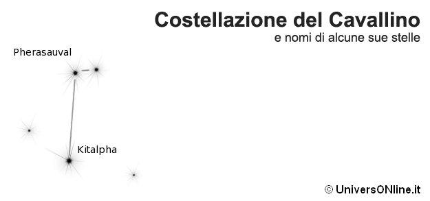 costellazione del Cavallino