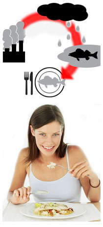 Alimentazione in gravidanza e mercurio