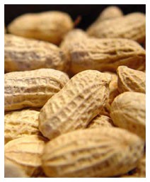 Allergie alimentari: prevenirle grazie ad una molecola