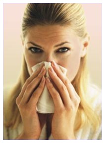 Allergie: maggior rischi a scuola e in ufficio Allergie: maggior rischi a scuola e in ufficio