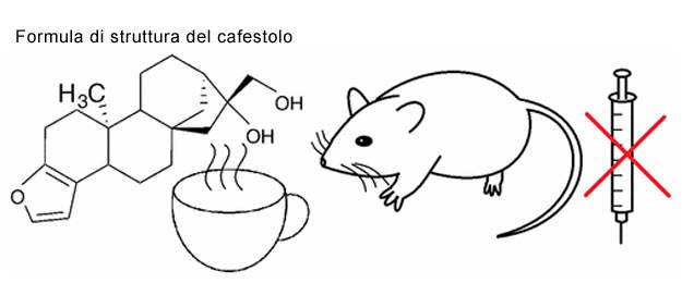 Glicemia e cafestolo