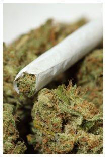 Marijuana / cannabis effetti