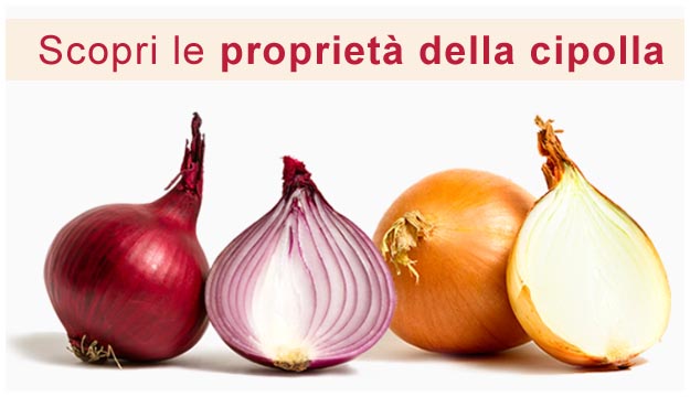 Propriet della cipolla