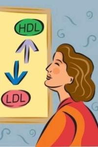 Colesterolo HDL alto e cuore