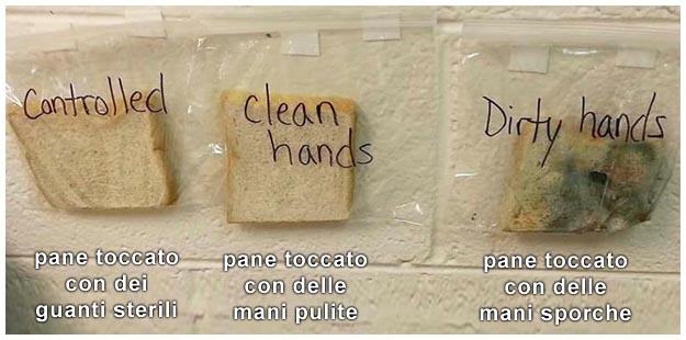 Esperimenti per bambini mani sporche