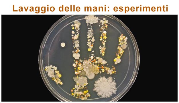 Esperimento lavaggio delle mani