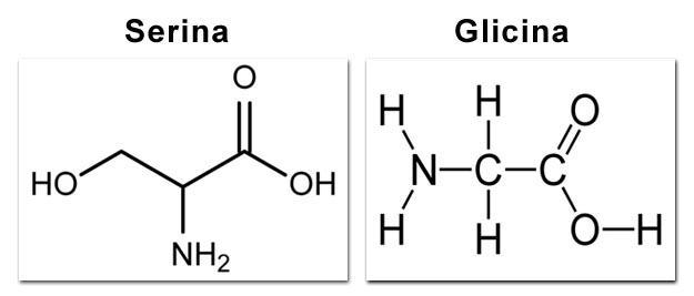 serina e glicina