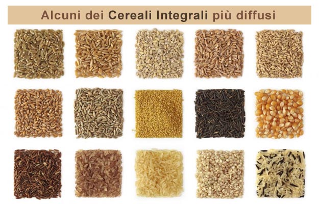 Cereali integrali: elenco dei più diffusi Alcuni cereali integrali