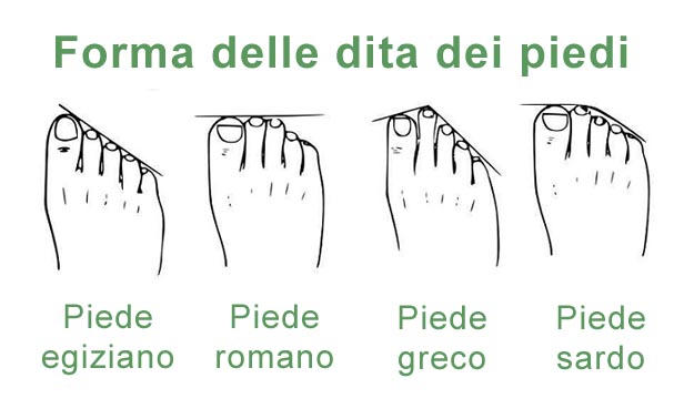 Forma delle dita dei piedi