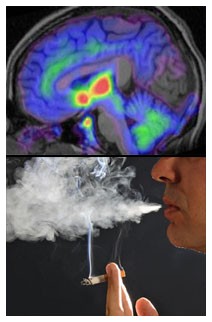 Fumo e udito: nuove controindicazioni per i fumatori Fumo e udito: nuove controindicazioni per i fumatori