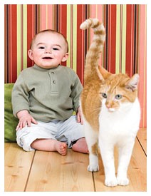 Gatti in casa ed eczema nei bambini
