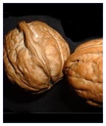 Mangiare noci aiuta a proteggere le arterie Mangiare noci aiuta a proteggere le arterie