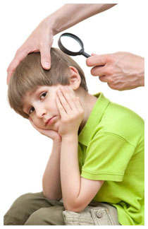 Eliminare i pidocchi dai capelli Eliminare i pidocchi dai capelli