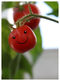 Pomodoro contrasta la depressione Pomodoro contrasta la depressione