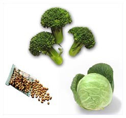 Prevenire i tumori mangiando cavoli, soia e broccoli