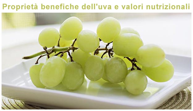 Proprietà uva e valori nutrizionali Un grappolo d'uva con le sue proprietà