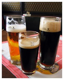 Prevenzione tumori: luppolo nella birra