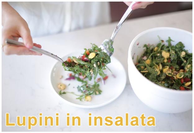 Lupini in insalata