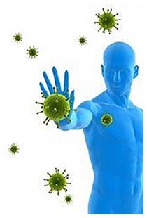 Sistema immunitario rafforzato