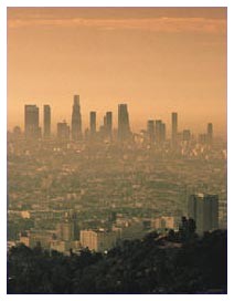 Smog: ogni anno 8 mila morti
