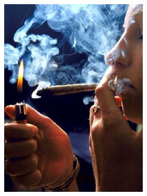 Tumore ai testicoli: marijuana Tumore ai testicoli: marijuana
