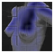 terza di reggiseno