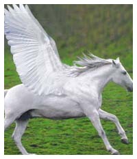 Animali mitologici : Pegaso