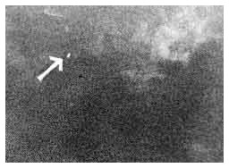 Avvistamento Ufo