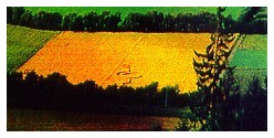 Foto Crop circles