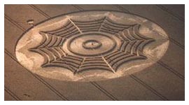 Foto Crop circles
