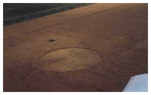 Foto Crop circles