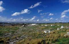 Villaggio preistorico