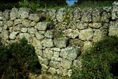 Villaggio preistorico