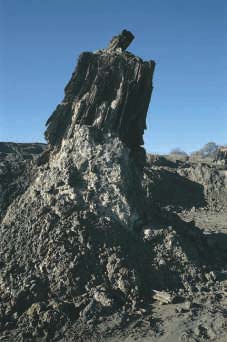 Dunarobba (TR) - foresta pietrificata