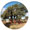 Albero della Quercia