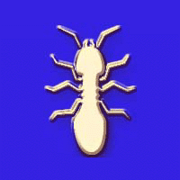 Oroscopo Degli Insetti: Termite